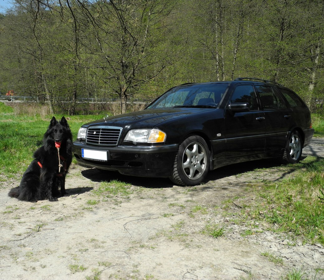 Mein Auto und Hund ;)